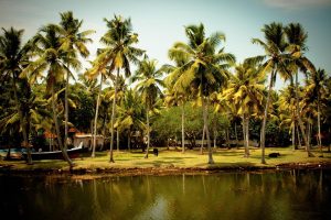 Who Kerala Lottery App: Complete 2026 Guide for Indian Players